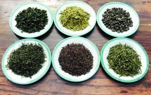 图上从左到右:铁观音、龙井、茉莉花;图下从左到右:有机雾绿、普洱、有机茶王 图上从左到右:铁观音、龙井、茉莉花;图下从左到右:有机雾绿、普洱、有机茶王